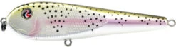 River2Sea ICBM 120 Hard Stickbait/Glidebait -Sport Fishing Shop 02RainbowTrout eadba6ed 8576 49bb ae99 7c2d8eb79b04