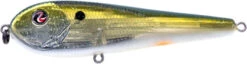 River2Sea ICBM 120 Hard Stickbait/Glidebait -Sport Fishing Shop 03IKnowIt