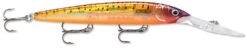 Rapala Down Deep Husky Jerk 12 Deep Diving Jerkbait -Sport Fishing Shop 12564582760503