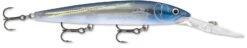 Rapala Down Deep Husky Jerk 12 Deep Diving Jerkbait -Sport Fishing Shop 12564582858807