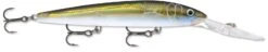Rapala Down Deep Husky Jerk 12 Deep Diving Jerkbait -Sport Fishing Shop 12564582924343