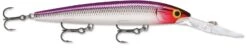 Rapala Down Deep Husky Jerk 12 Deep Diving Jerkbait -Sport Fishing Shop 12564583055415