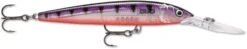 Rapala Down Deep Husky Jerk 10 Deep Diving Jerkbait -Sport Fishing Shop 12564593639479