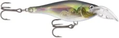 Rapala Scatter Rap Glass Shad 07 Deep Diving Crankbait -Sport Fishing Shop 12565925658679
