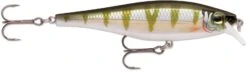 Rapala Balsa Xtreme BX Minnow 10 Medium Diving Jerkbait -Sport Fishing Shop 12582631997495