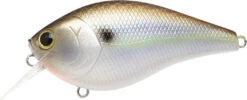 Lucky Craft LC 2.5 Shallow Squarebill Crankbait -Sport Fishing Shop 12607085903927
