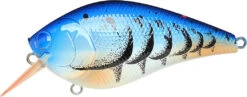 Lucky Craft LC 2.5 Shallow Squarebill Crankbait -Sport Fishing Shop 12607085969463
