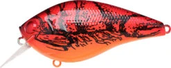 Lucky Craft LC 2.5 Shallow Squarebill Crankbait -Sport Fishing Shop 12607086100535
