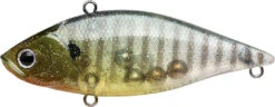Lucky Craft LV-500 Max Lipless Crankbait 21 Lucky Craft LV-500 Max Lipless Crankbait -Sport Fishing Shop 12634230194231