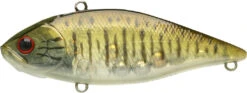Lucky Craft LV-500 Max Lipless Crankbait 24 Lucky Craft LV-500 Max Lipless Crankbait -Sport Fishing Shop 12634230620215