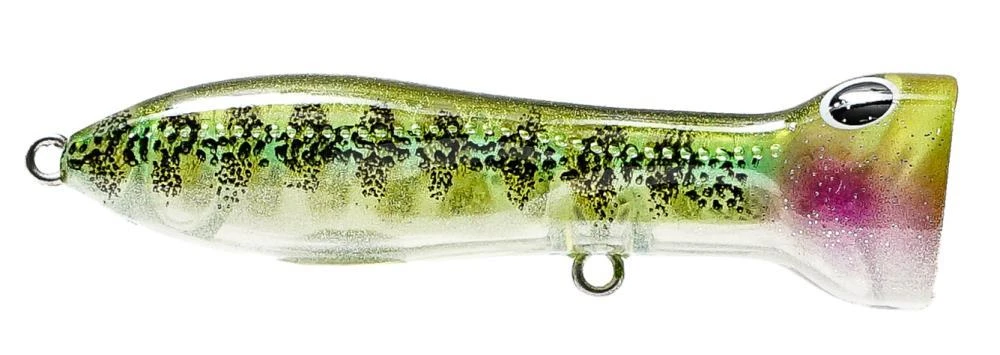 Nomad Design Chug Norris Freshwater/Inshore Popper 6 Nomad Design Chug Norris Freshwater/Inshore Popper - Image 6