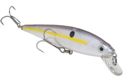 Strike King KVD 200 Series 4 1/2 Inch Suspending Medium Jerkbait 22 Strike King KVD 200 Series 4 1/2 Inch Suspending Medium Jerkbait -Sport Fishing Shop 12699182497847
