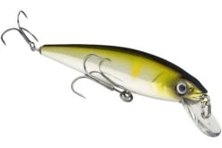 Strike King KVD 200 Series 4 1/2 Inch Suspending Medium Jerkbait 23 Strike King KVD 200 Series 4 1/2 Inch Suspending Medium Jerkbait -Sport Fishing Shop 12699182530615
