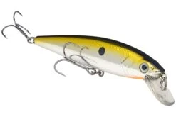 Strike King KVD 200 Series 4 1/2 Inch Suspending Medium Jerkbait 25 Strike King KVD 200 Series 4 1/2 Inch Suspending Medium Jerkbait -Sport Fishing Shop 12699182596151