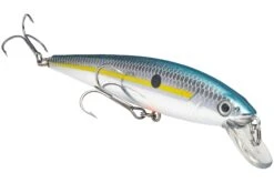 Strike King KVD 200 Series 4 1/2 Inch Suspending Medium Jerkbait 26 Strike King KVD 200 Series 4 1/2 Inch Suspending Medium Jerkbait -Sport Fishing Shop 12699182628919