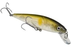 Strike King KVD 200 Series 4 1/2 Inch Suspending Medium Jerkbait 27 Strike King KVD 200 Series 4 1/2 Inch Suspending Medium Jerkbait -Sport Fishing Shop 12699182661687