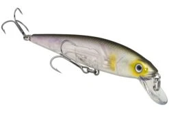 Strike King KVD 200 Series 4 1/2 Inch Suspending Medium Jerkbait 28 Strike King KVD 200 Series 4 1/2 Inch Suspending Medium Jerkbait -Sport Fishing Shop 12699182694455