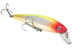 Strike King KVD 200 Series 4 1/2 Inch Suspending Medium Jerkbait