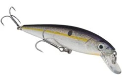 Strike King KVD 200 Series 4 1/2 Inch Suspending Medium Jerkbait 29 Strike King KVD 200 Series 4 1/2 Inch Suspending Medium Jerkbait -Sport Fishing Shop 12699182759991