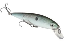 Strike King KVD 200 Series 4 1/2 Inch Suspending Medium Jerkbait 31 Strike King KVD 200 Series 4 1/2 Inch Suspending Medium Jerkbait -Sport Fishing Shop 12699182825527