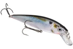 Strike King KVD 200 Series 4 1/2 Inch Suspending Medium Jerkbait 33 Strike King KVD 200 Series 4 1/2 Inch Suspending Medium Jerkbait -Sport Fishing Shop 12699182891063