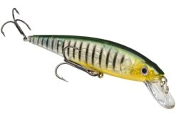 Strike King KVD 200 Series 4 1/2 Inch Suspending Medium Jerkbait 34 Strike King KVD 200 Series 4 1/2 Inch Suspending Medium Jerkbait -Sport Fishing Shop 12699182923831
