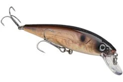 Strike King KVD 200 Series 4 1/2 Inch Suspending Medium Jerkbait 35 Strike King KVD 200 Series 4 1/2 Inch Suspending Medium Jerkbait -Sport Fishing Shop 12699182956599