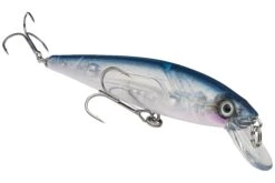 Strike King KVD 200 Series 4 1/2 Inch Suspending Medium Jerkbait 36 Strike King KVD 200 Series 4 1/2 Inch Suspending Medium Jerkbait -Sport Fishing Shop 12699182989367