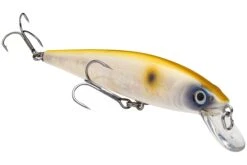 Strike King KVD 200 Series 4 1/2 Inch Suspending Medium Jerkbait 37 Strike King KVD 200 Series 4 1/2 Inch Suspending Medium Jerkbait -Sport Fishing Shop 12699183022135