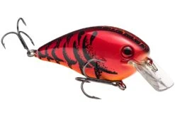 Strike King KVD 4.0 Magnum Shallow Squarebill Crankbait -Sport Fishing Shop 12721594368055