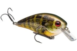 Strike King KVD 4.0 Magnum Shallow Squarebill Crankbait -Sport Fishing Shop 12721594400823