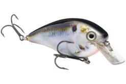 Strike King KVD 4.0 Magnum Shallow Squarebill Crankbait -Sport Fishing Shop 12721594433591