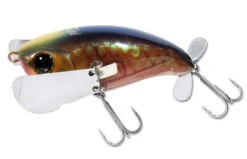 Jackall Pompadour Jr. Topwater Lure -Sport Fishing Shop 12984638111799