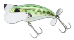 Jackall Pompadour Topwater Lure -Sport Fishing Shop 12984640864311