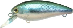 Lucky Craft Moonsault CB-100 Shallow Diving Crankbait -Sport Fishing Shop 13025142931511