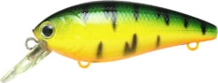 Lucky Craft Moonsault CB-100 Shallow Diving Crankbait -Sport Fishing Shop 13025143128119