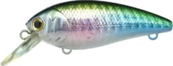 Lucky Craft Moonsault CB-100 Shallow Diving Crankbait -Sport Fishing Shop 13025143488567