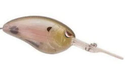 SPRO John Crews Little John DD 70 Extra Deep Diving Crankbait -Sport Fishing Shop 1 42bd2ef0 b819 4ece 8437 517778350052