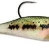 Storm WildEye Swim Shad Paddle Tail Swimbait 3 Pack