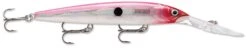 Rapala Down Deep Husky Jerk 14 Deep Diving Jerkbait -Sport Fishing Shop 31332608507993