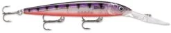 Rapala Down Deep Husky Jerk 14 Deep Diving Jerkbait -Sport Fishing Shop 31332608540761