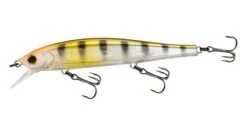 Yo-Zuri 3DB Jerkbait 110 -Sport Fishing Shop 32233071345753