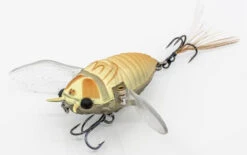 Chasebaits Ripple Cicada 1 3/4 Inch Wakebait Crawler -Sport Fishing Shop 32233146843225