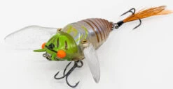 Chasebaits Ripple Cicada 1 3/4 Inch Wakebait Crawler -Sport Fishing Shop 32233146875993