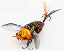 Chasebaits Ripple Cicada 1 3/4 Inch Wakebait Crawler -Sport Fishing Shop 32233146908761