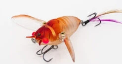 Chasebaits Ripple Cicada 1 3/4 Inch Wakebait Crawler -Sport Fishing Shop 32233146941529