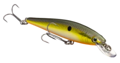 Strike King KVD 100 Series Suspending Shallow Jerkbait