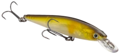 Strike King KVD 100 Series Suspending Shallow Jerkbait -Sport Fishing Shop 32272586244185
