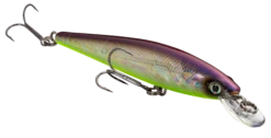 Strike King KVD 100 Series Suspending Shallow Jerkbait -Sport Fishing Shop 32272586309721