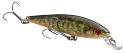 Strike King KVD 100 Series Suspending Shallow Jerkbait -Sport Fishing Shop 32272586342489